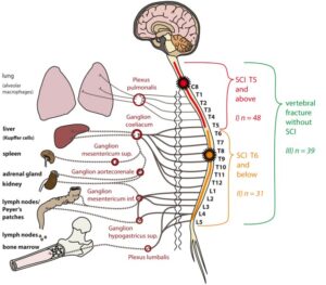 12883 2013 Article 885 Fig2 HTML Healthcare