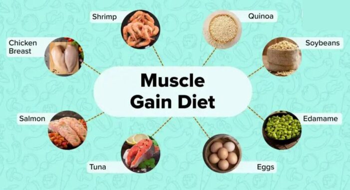 only 4 muscle building Diet to gain masala